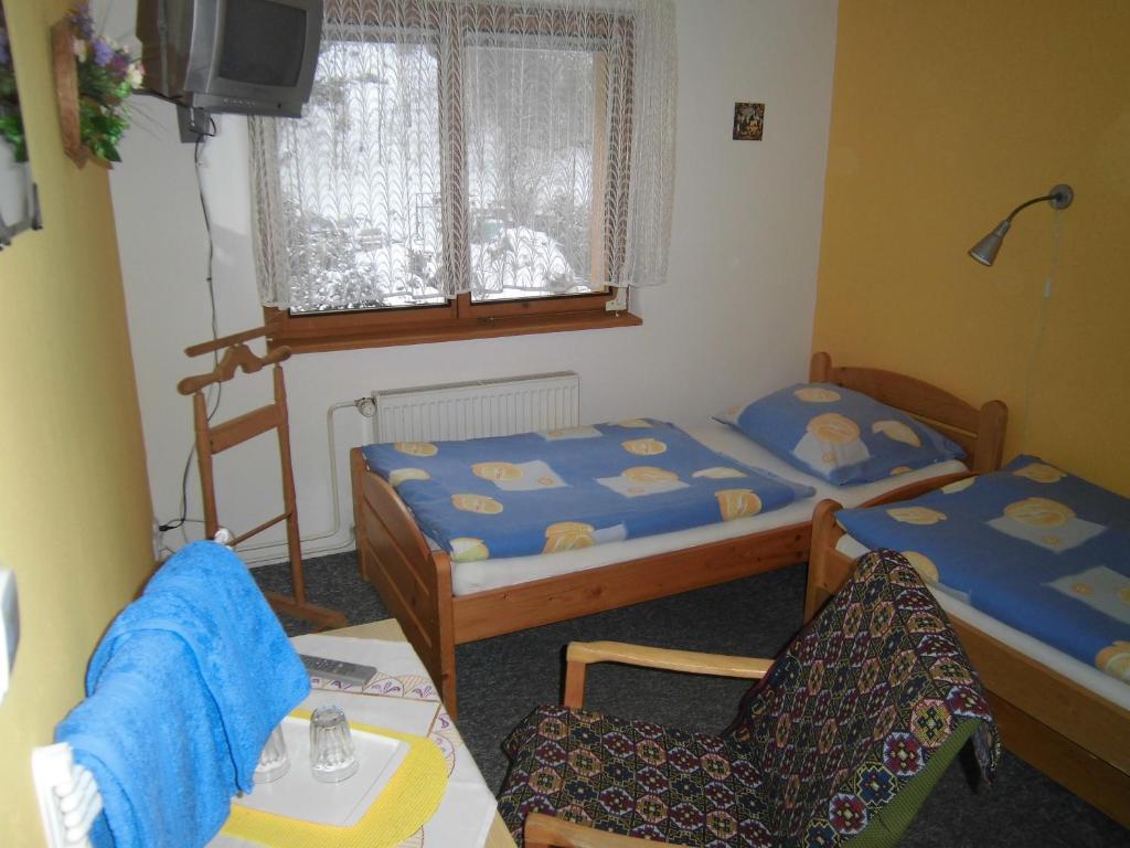 Kupkova Ubytovani V Soukromi Brno Room photo