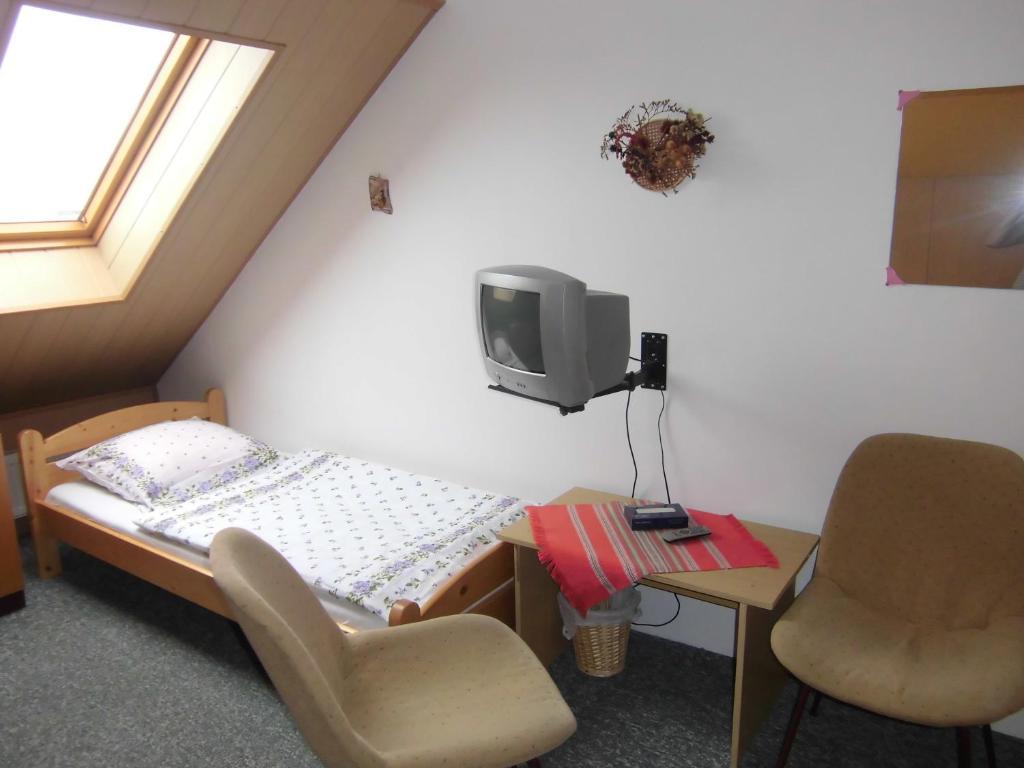 Kupkova Ubytovani V Soukromi Brno Room photo