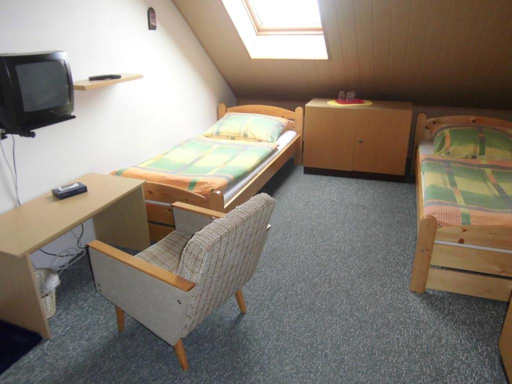 Kupkova Ubytovani V Soukromi Brno Room photo
